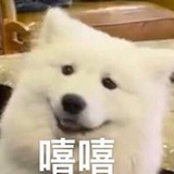 刚刚人海