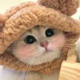 生打椰汁