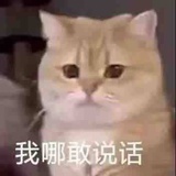 kk