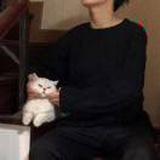 假装取了个名字