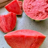 爱吃西瓜🍉