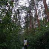 三颗小药丸
