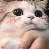 牛马爸爸