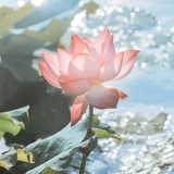 段筝