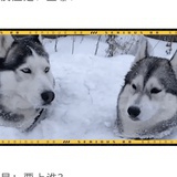人们都叫他阿港