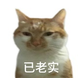 就爱吃瓜怎么了