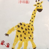 小圆圆