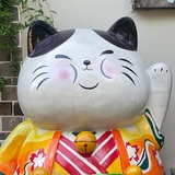 秋秋