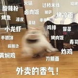 晓风与晚月