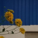 在宣