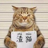 小哔ber