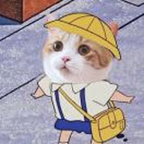 今天学习了吗