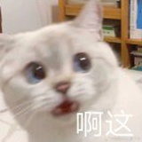 意想不到的结局