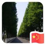 静候