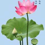 朱倩仪（朱彩云