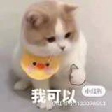 Aa
