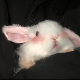 怪兽大王