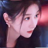 毛毛拥抱月亮