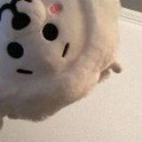 腊十一