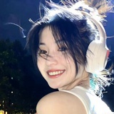 linxcarry