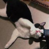 晚安