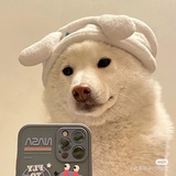 江湖骗纸