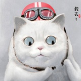 草止