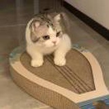 冰块