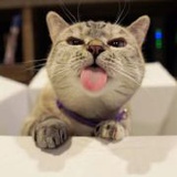 piraffe
