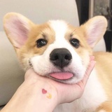 豆友244970849