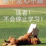 杀手级