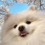 清和