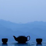 驯鹿姐姐