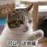 不能发言咋办