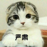 Tppppp