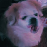 莫↘生→气↘🍐