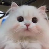 豆友JX_kT0FN2Y