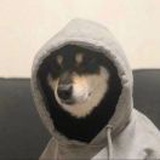 风起