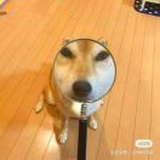 豆友LEY02TbKVE