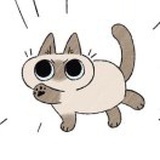 呀嘿。