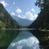 我爱吃泡面