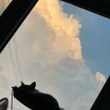 说得真好看