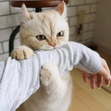 牛B痕痕