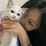 蛋卷他母后