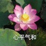 啊哦