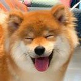 一颗柚子