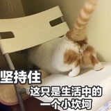 秋天的美好