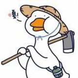 成都🐱找领养