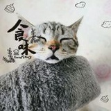 小咪超可爱