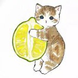 黑猫